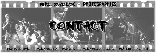 Niko/xwoldx - Contact